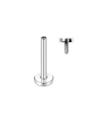 Steel 316L Internally Threaded Labret with Round Disc